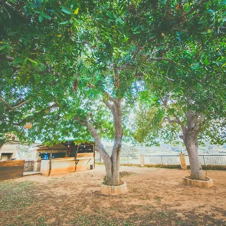 בית הארחה Farm House Hotel & Garden Restaurant At Rizokarpasso *